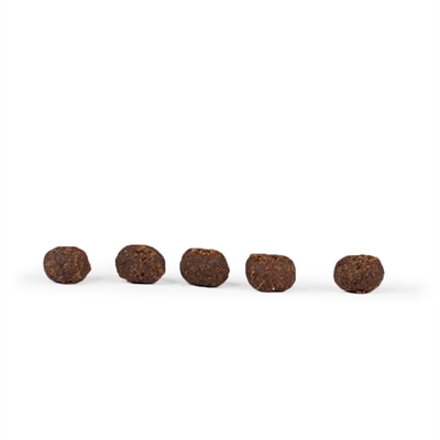 Træningsgodbidder med lam